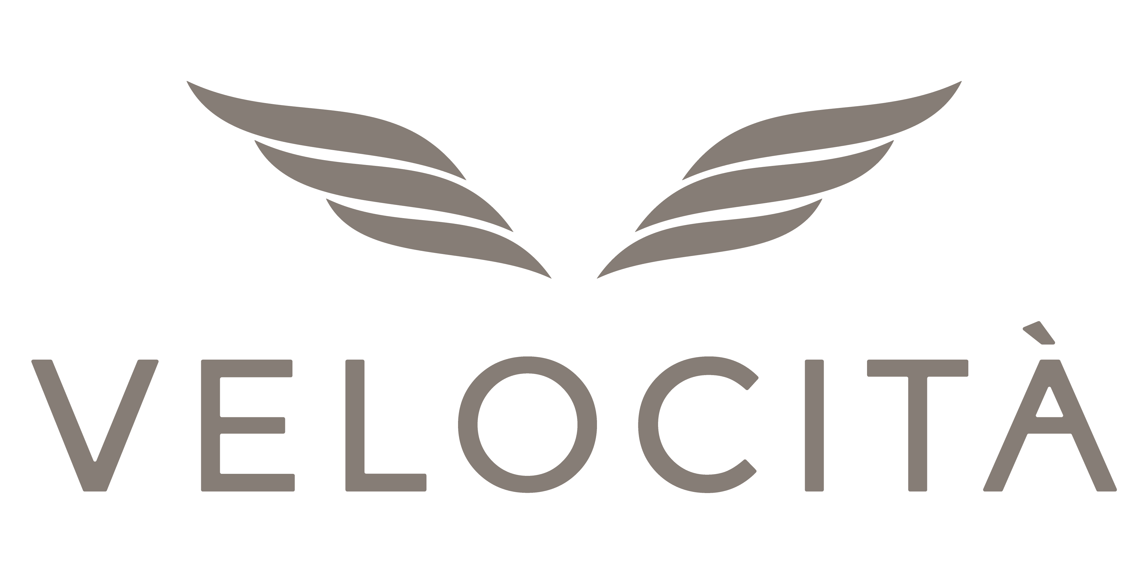 Velocita Luxury Branding