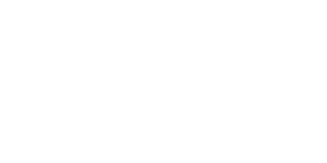 Velocita